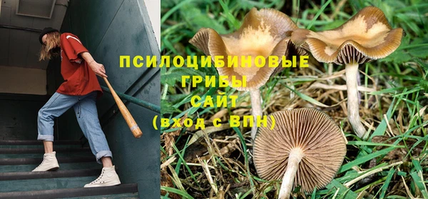 не бодяженный Аркадак